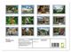Thumbnail-11