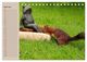 Thumbnail-9