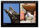 Thumbnail-9