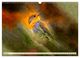 Thumbnail-12