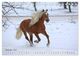 Thumbnail-14