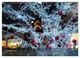 Thumbnail-14