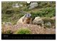 Thumbnail-9