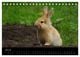 Thumbnail-9
