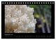 Thumbnail-11