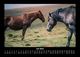 Thumbnail-11