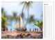 Thumbnail-12