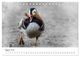 Thumbnail-10