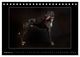 Thumbnail-14