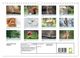 Thumbnail-12