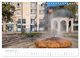 Thumbnail-11