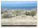 Thumbnail-11