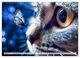 Thumbnail-11