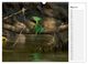 Thumbnail-10