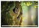 Thumbnail-14