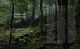Thumbnail-16