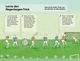 Thumbnail-12