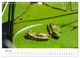 Thumbnail-11