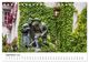Thumbnail-14