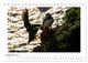 Thumbnail-14