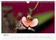Thumbnail-9