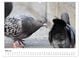 Thumbnail-9