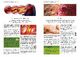 Thumbnail-16