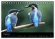 Thumbnail-10