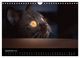 Thumbnail-14
