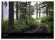 Thumbnail-9