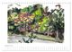 Thumbnail-10