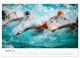 Thumbnail-13