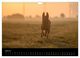 Thumbnail-12