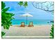 Thumbnail-11