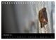 Thumbnail-13