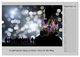 Thumbnail-14