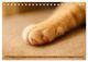 Thumbnail-12