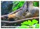 Thumbnail-11