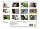 Thumbnail-3