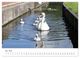 Thumbnail-10