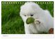 Thumbnail-14
