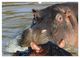 Thumbnail-14