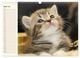 Thumbnail-9