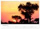 Thumbnail-14