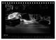 Thumbnail-12