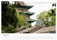 Thumbnail-8