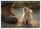 Thumbnail-8
