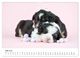 Thumbnail-10