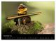 Thumbnail-13