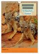Thumbnail-13